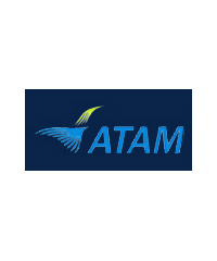 ATAM Aerowing logo